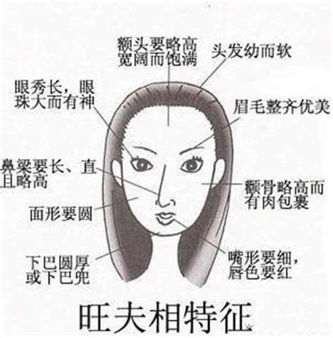 獅子鼻女|【獅子鼻女】獅子鼻女人面相女人獅子鼻好不好 